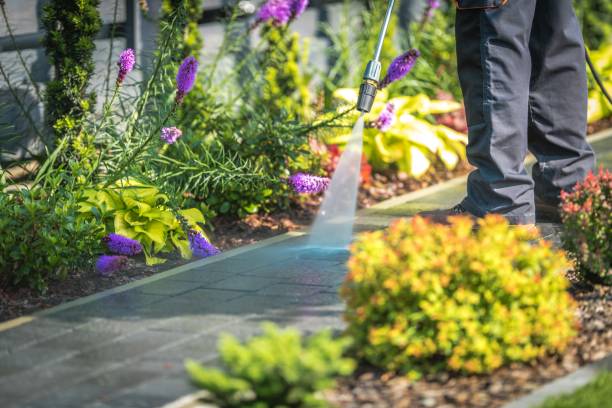 Best Boat and Dock Cleaning  in Island Park, NY